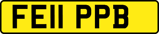 FE11PPB