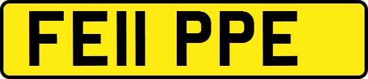 FE11PPE