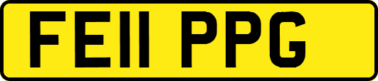 FE11PPG