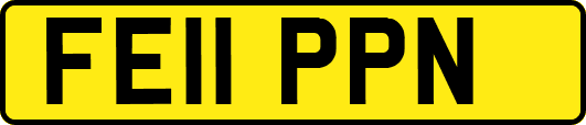 FE11PPN