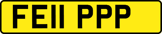 FE11PPP