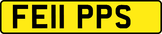 FE11PPS