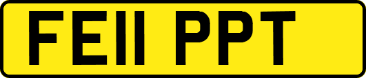 FE11PPT