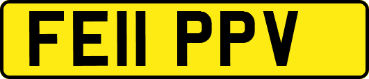 FE11PPV