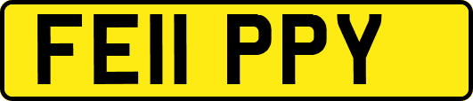FE11PPY