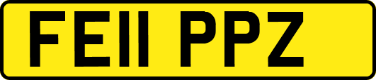 FE11PPZ