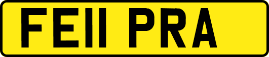 FE11PRA