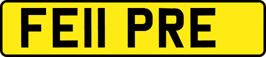 FE11PRE
