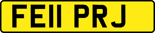FE11PRJ