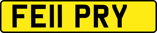 FE11PRY
