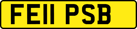 FE11PSB