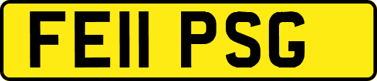 FE11PSG