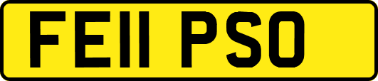 FE11PSO
