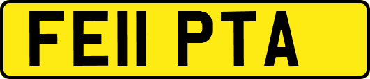 FE11PTA