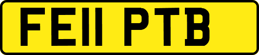 FE11PTB