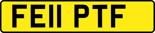 FE11PTF