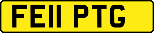 FE11PTG