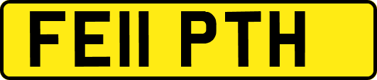FE11PTH