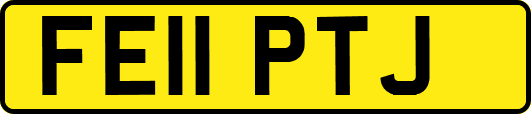 FE11PTJ
