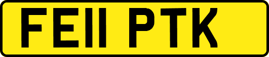 FE11PTK