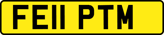 FE11PTM