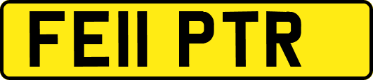 FE11PTR