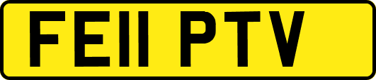 FE11PTV