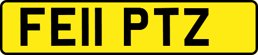 FE11PTZ