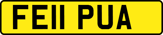 FE11PUA