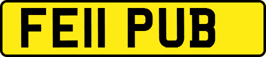 FE11PUB
