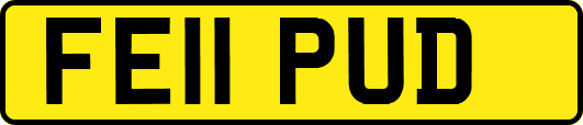 FE11PUD