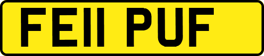 FE11PUF