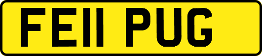 FE11PUG