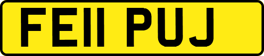 FE11PUJ