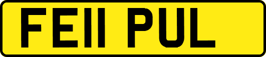 FE11PUL