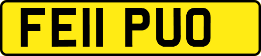 FE11PUO