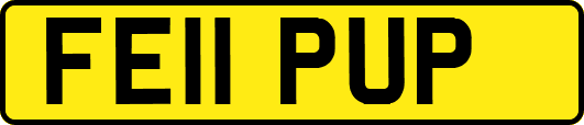 FE11PUP