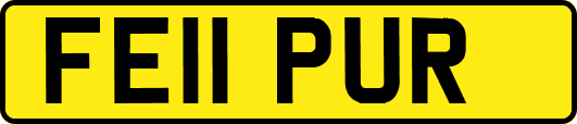 FE11PUR
