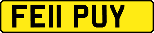 FE11PUY