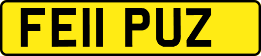 FE11PUZ