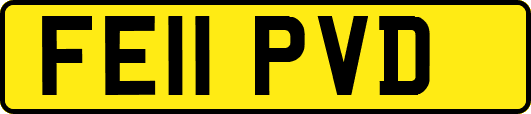 FE11PVD