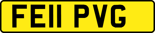 FE11PVG