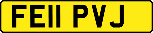 FE11PVJ