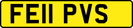 FE11PVS