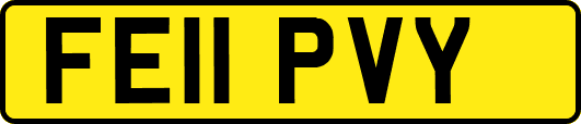 FE11PVY