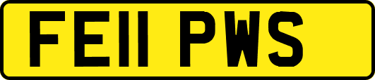 FE11PWS