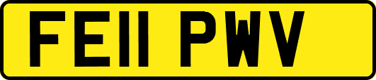FE11PWV