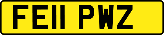 FE11PWZ