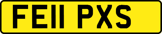 FE11PXS