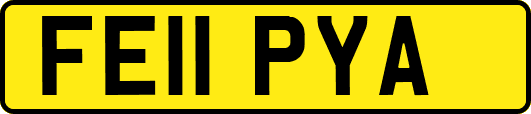 FE11PYA
